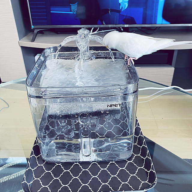 Fumiyoさんの実例写真