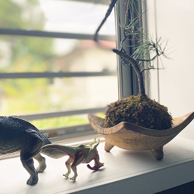 kotaroさんの部屋