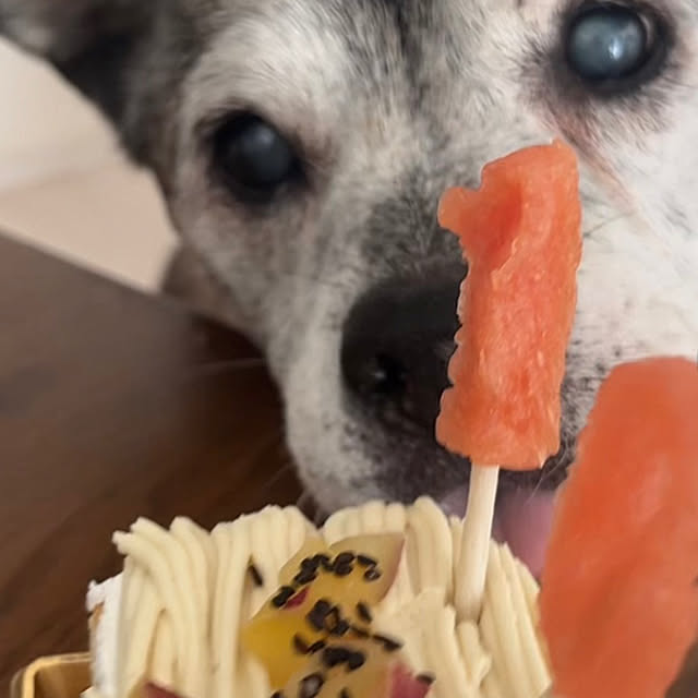 mari50さんの部屋