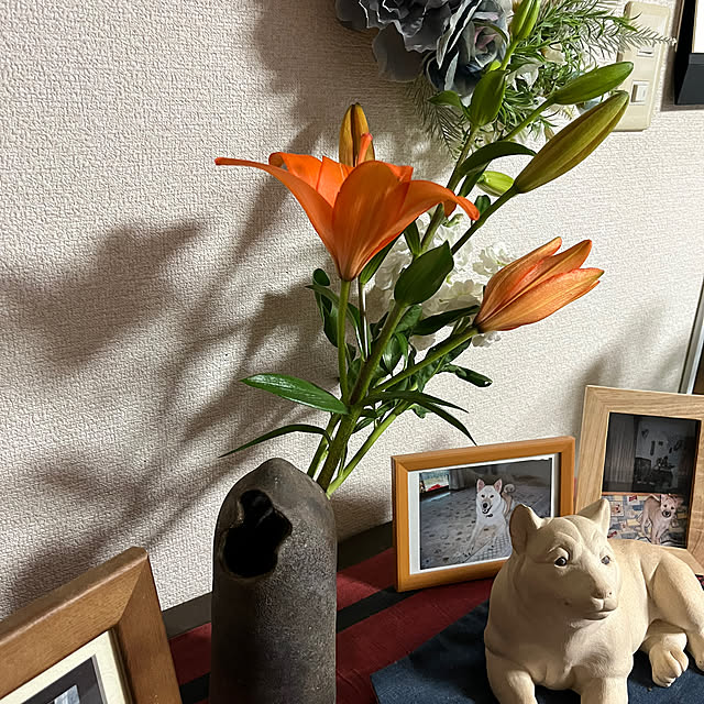 ritsukoさんの部屋