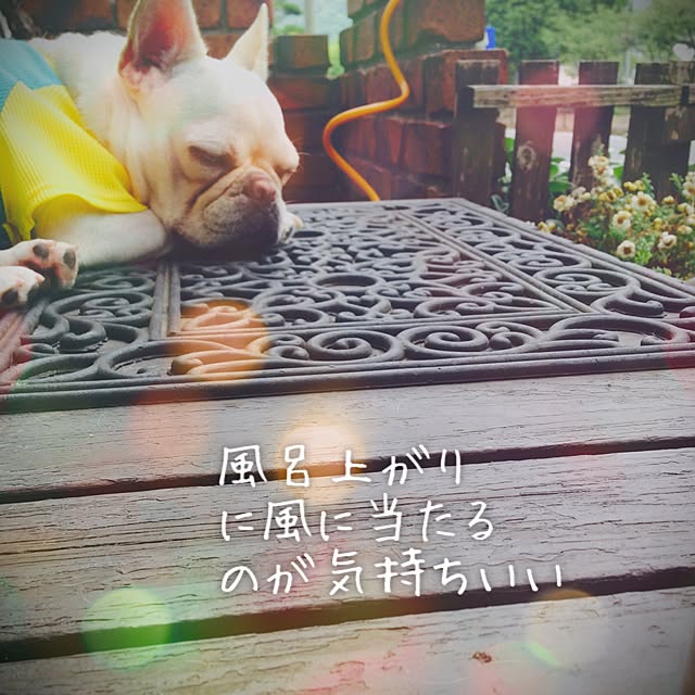 38coreさんの実例写真