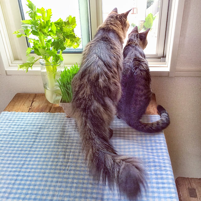 weさんの実例写真