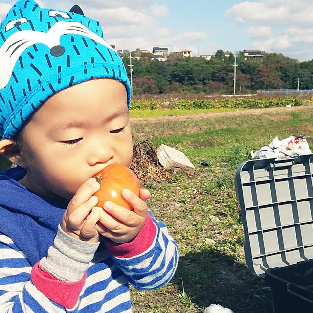 実例写真