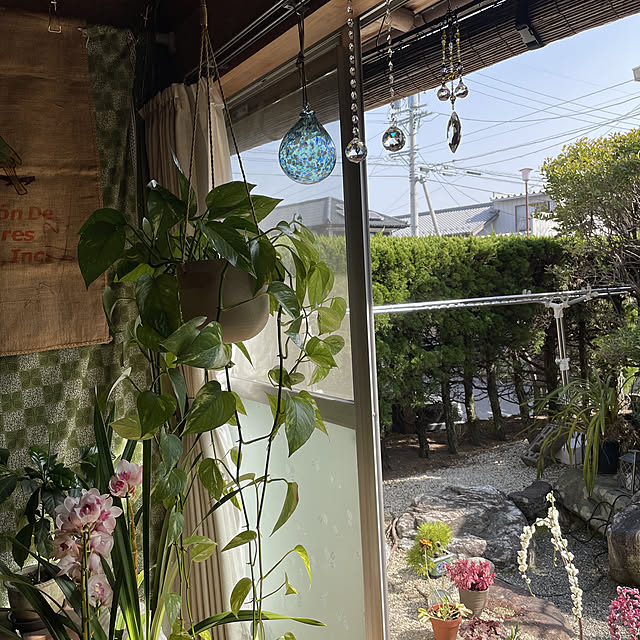 shin0719さんの実例写真