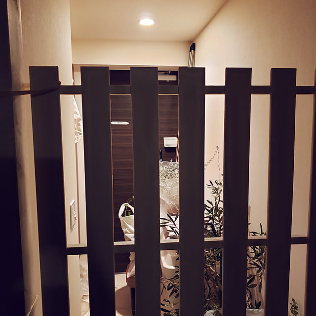 mofさんの実例写真