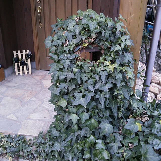 yukさんの実例写真