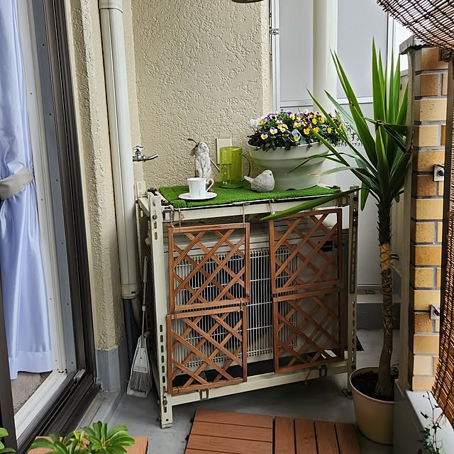 takoさんの実例写真