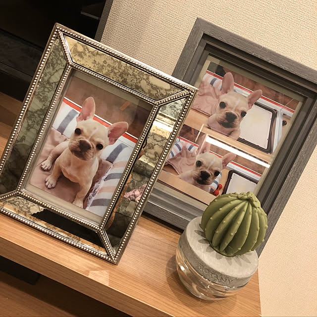 ka01zu18miさんの実例写真
