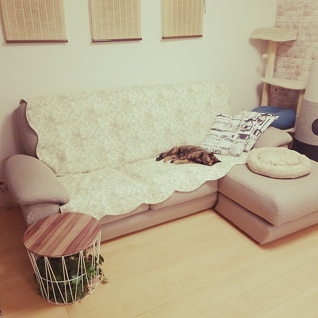 リビング/ソファ/ナチュラル/客観的に見て、いい部屋にしたい/いいね♪ありがとうございます(*´∇｀)...などのインテリア実例 - 2019-07-06 23:16:02