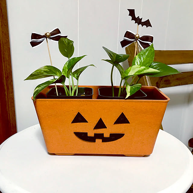 机/観葉植物/ポトス/ハロウィン/ハンドメイド...などのインテリア実例 - 2018-09-15 12:31:02