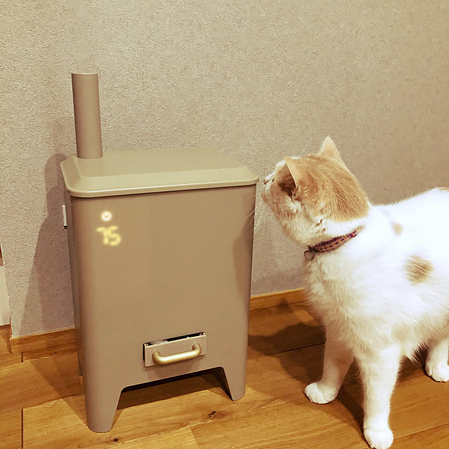 kantantさんの実例写真
