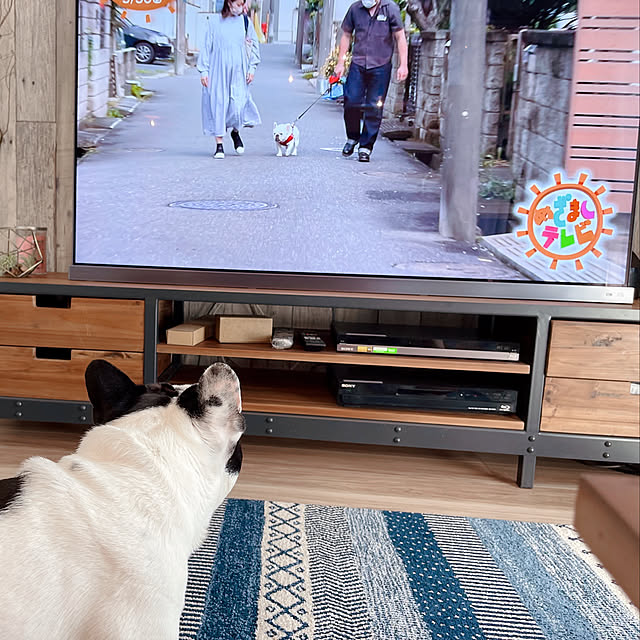 ziplocさんの実例写真