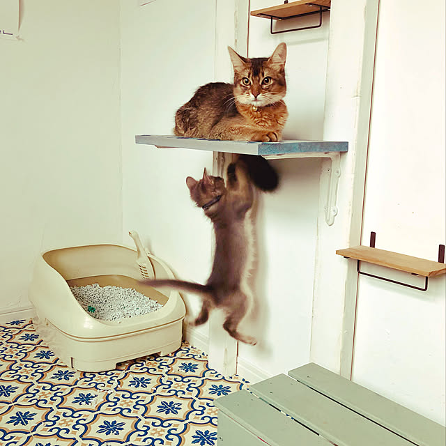 paradise_viewさんの実例写真