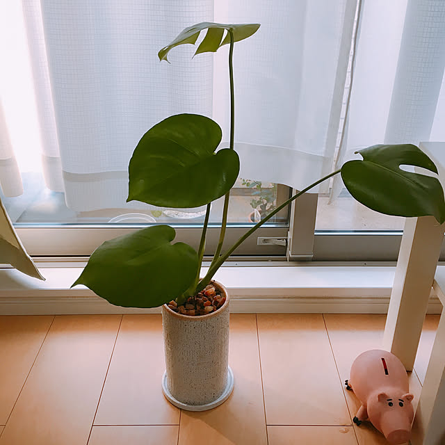 実例写真