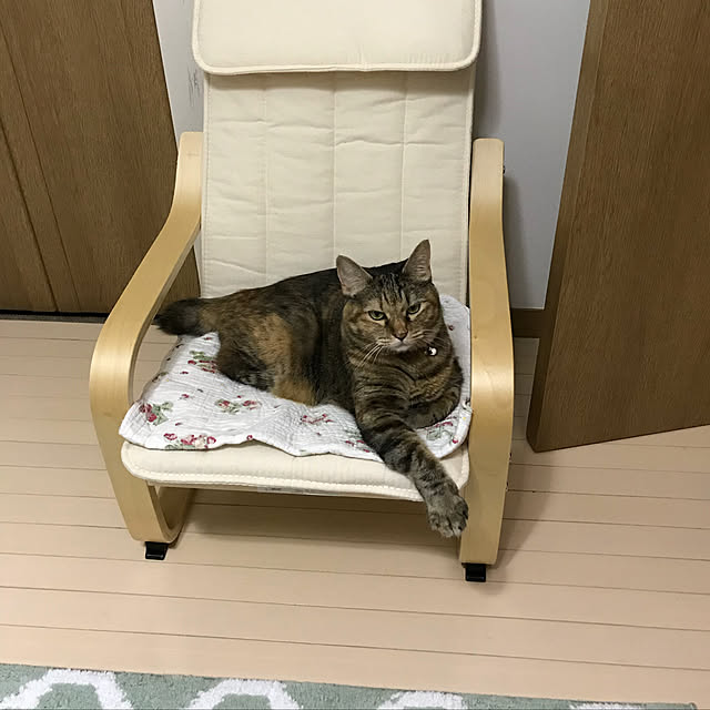 syutanさんの実例写真