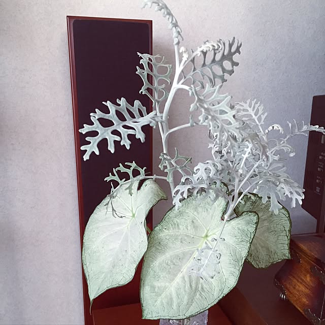 ange.zuzuさんの実例写真