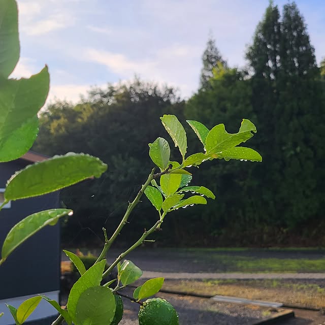 Rubiconさんの部屋
