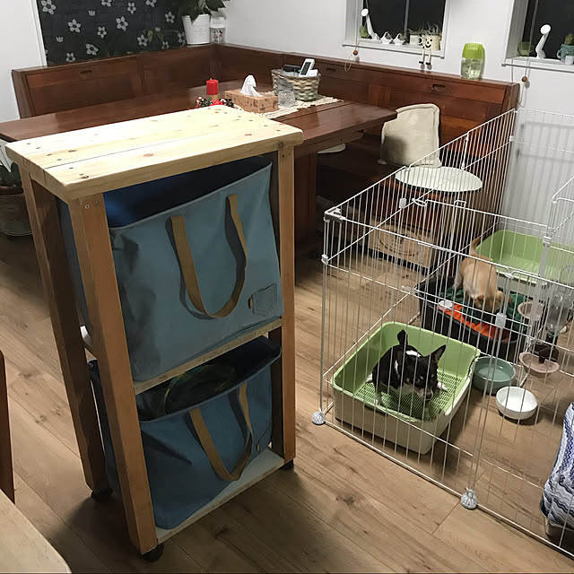 スムチー/チワワ2匹飼ってます！/みなさんのお部屋まわれなくてごめんなさい/RCの出会いに感謝♡/いいね！ありがとうございます♪...などのインテリア実例 - 2019-11-14 18:18:29