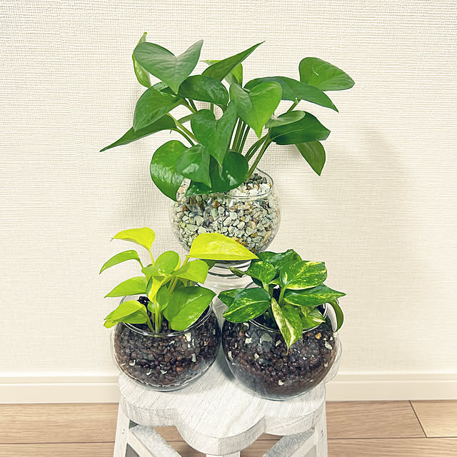 yoyoyoさんの部屋