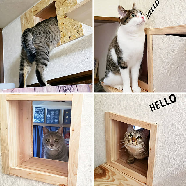 kiraさんの実例写真
