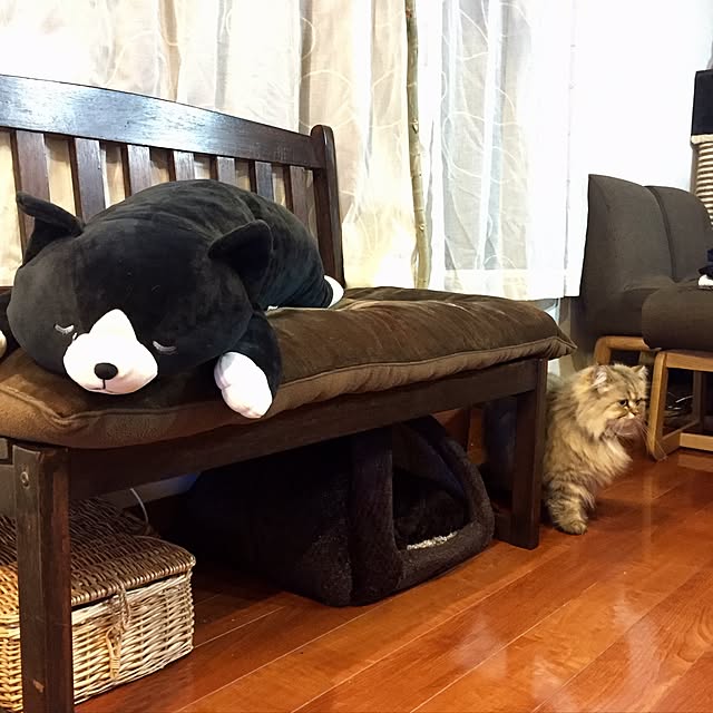 butachanさんの実例写真