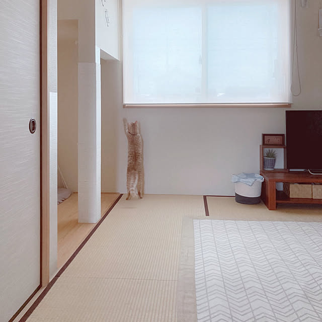 m.k.mさんの実例写真