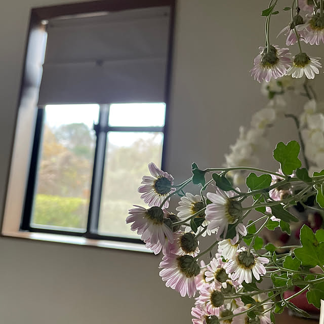 natsumiさんの実例写真