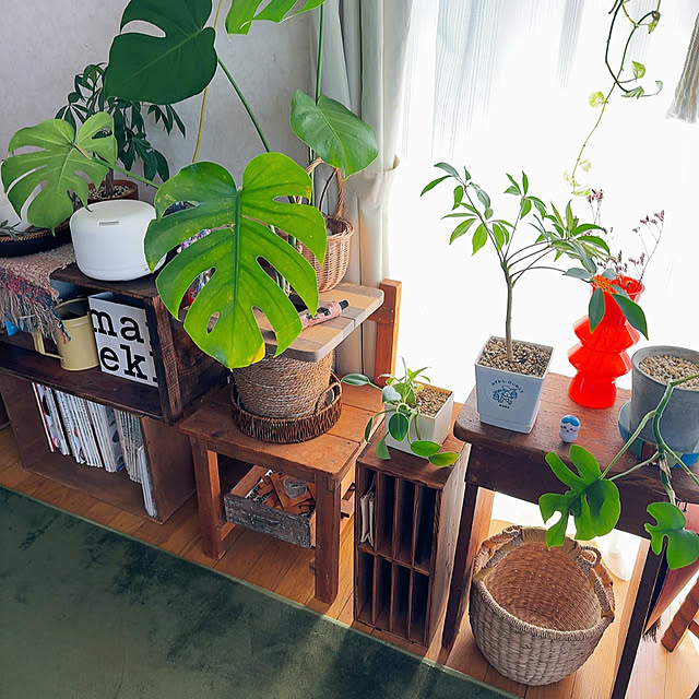 Hidamari-Rさんの実例写真