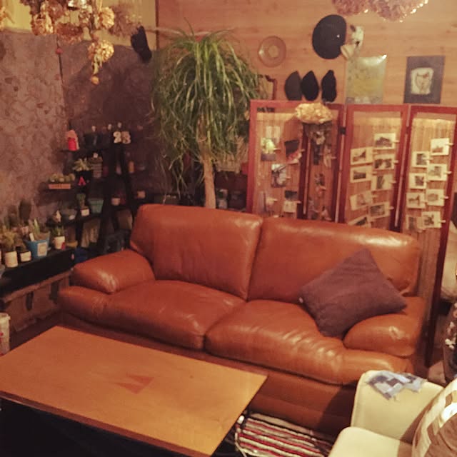 Masahideさんの実例写真