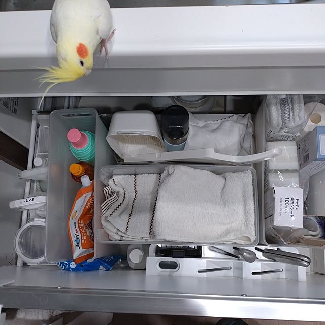 toratanさんの実例写真