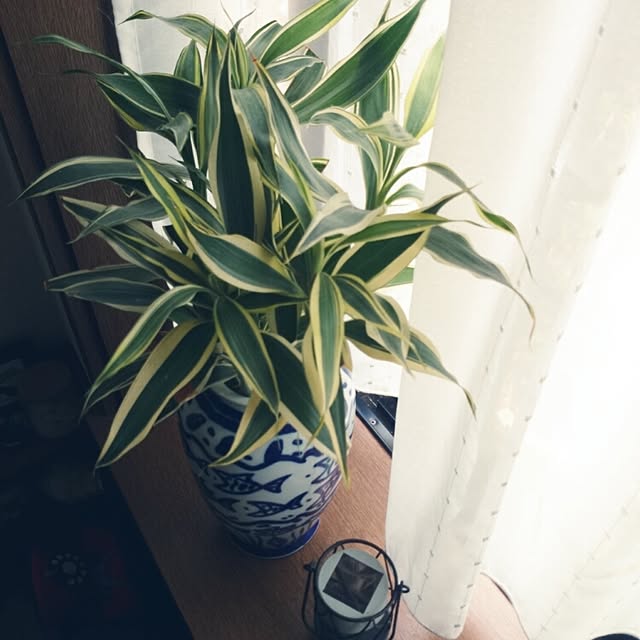 jrchisaさんの実例写真