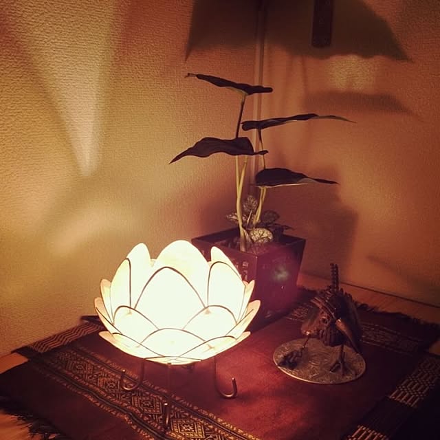 amaneさんの実例写真