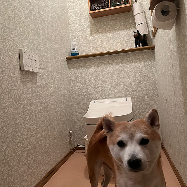 Kintaroさんの部屋