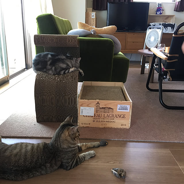 mikomaruさんの実例写真