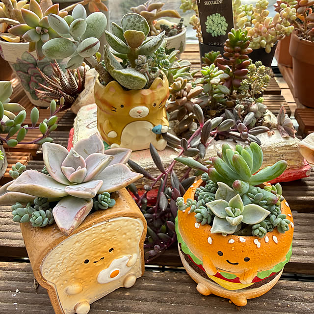 Aqettyさんの部屋