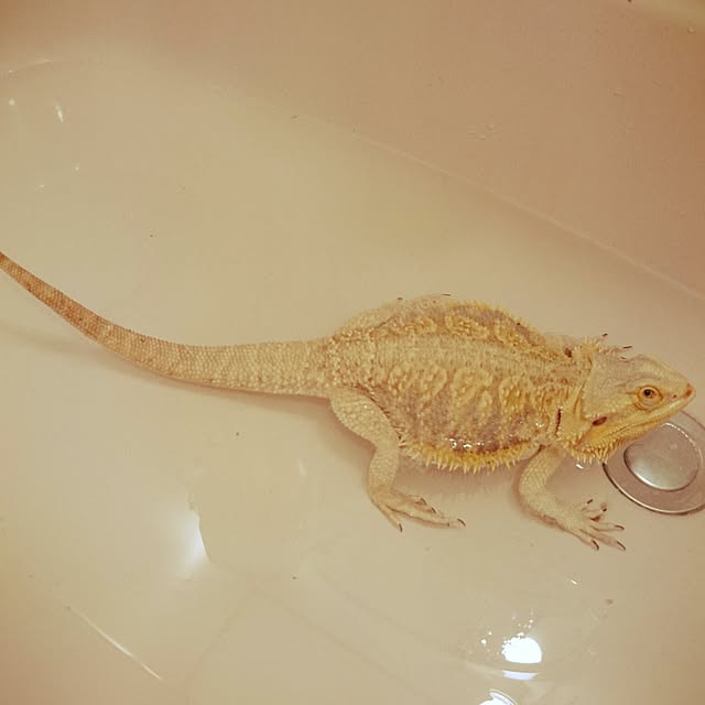 kaokao46さんの実例写真
