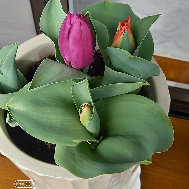 hakata-baさんの部屋