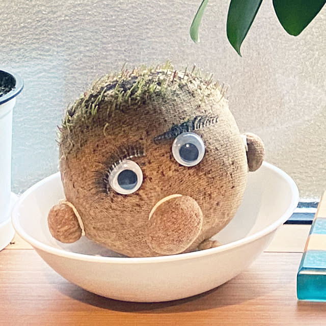 1546さんの部屋