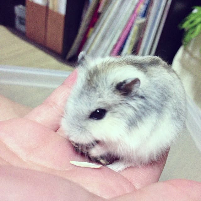 taroさんの実例写真