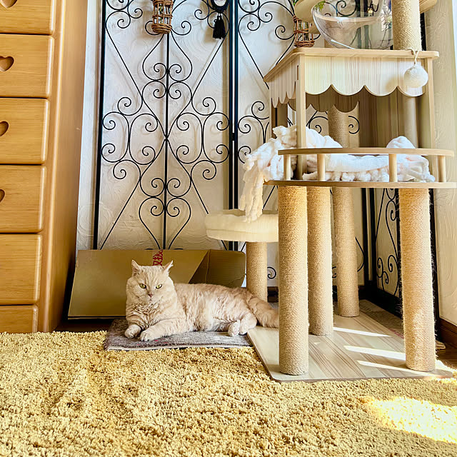 naokoさんの部屋