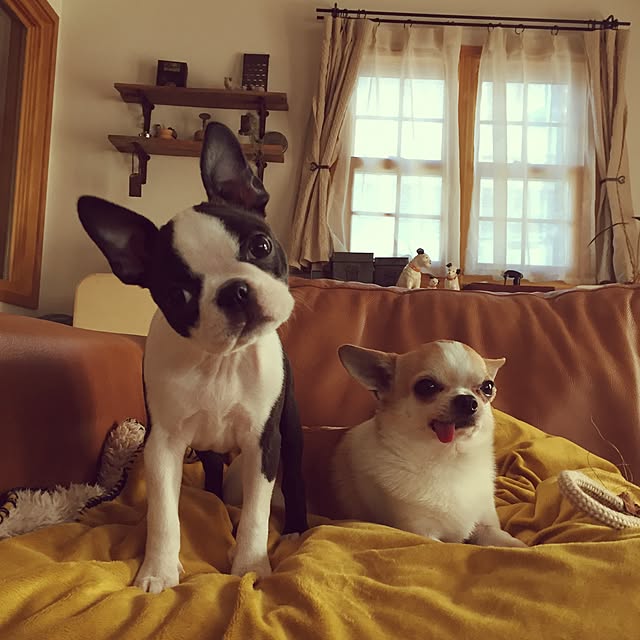 yumiさんの実例写真