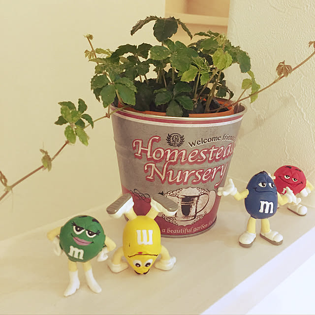 hiyoriさんの実例写真