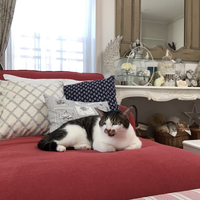 yuchiさんの実例写真