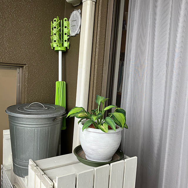 koshiregutyoさんの部屋