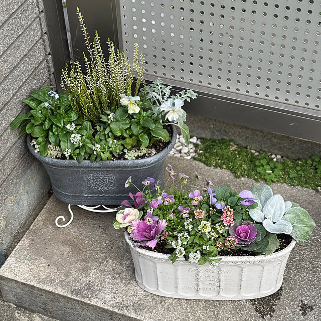 maayaさんの部屋