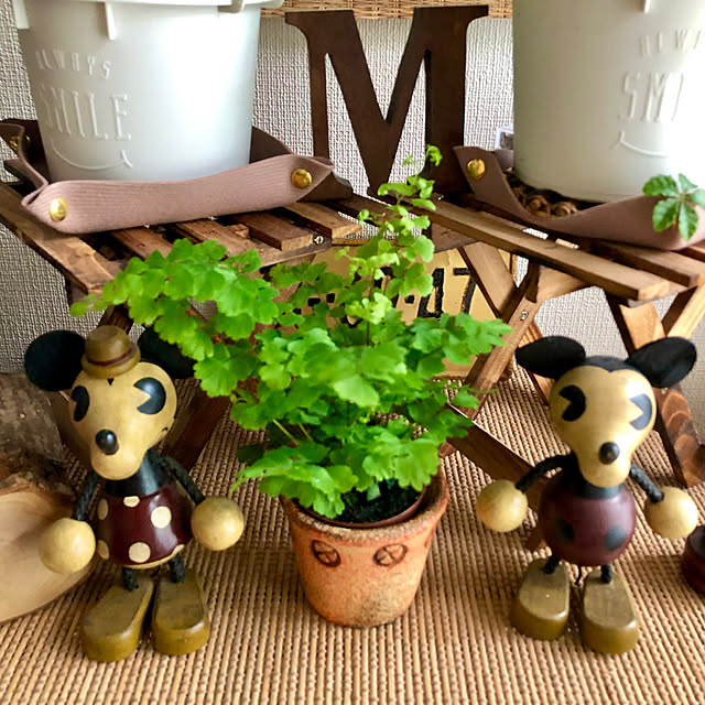 M_Mさんの実例写真