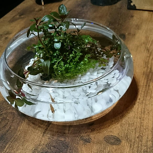 tikuwaさんの実例写真
