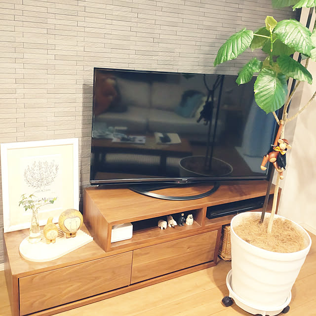 tan5さんの実例写真