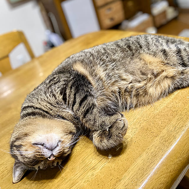 cocomaroさんの部屋