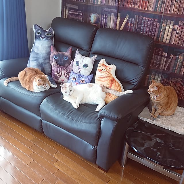 NOAHさんの実例写真